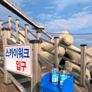 등기산스카이워크 이미지