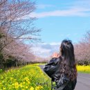 신산보건진료소 이미지