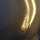 제네시스G80전도어복원 대전외형복원전문 대전덴트최고의집매직덴트하우스(매직터치동구점) 이미지