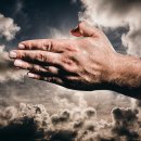 경호태권도 이미지