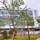 망미도서관 이미지