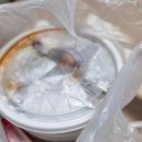 밥은(화) | 화순 야식 맛집 화를품은닭 부드러운 닭 목살 직화구이와 잼잼이 밥으로 야식 즐기기