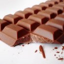 미사늘봄동물병원 이미지