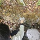 선암사 | 순천 선암사 겹벚꽃 후기🌸 아이와 걷기 좋은 봄 산책 코스 + 숨은 포인트(고양이보살·올챙이)