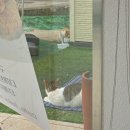 월영동237 | 마산 댓거리, 흑임자라떼 찾아 방문한 <베이크메이크> 내돈내산 솔직후기