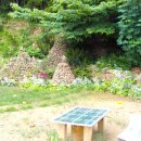 개구리집 이미지