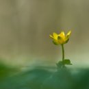 (주)꿈이있는여행 이미지