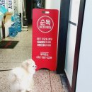 순독 이미지