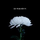 오롯이오늘 이미지