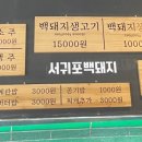 카카오 이미지