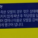 쇼마 헤어