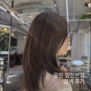 양화로 68 합정역 3번 출구 앞 | 합정역 미용실 올랑 합정본점 톤다운 후기