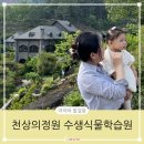 대청호 옥천 수생식물학습원 카페 아기와 함께 다녀온 후기(유모차 비추)