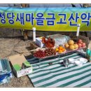 성당새마을금고앞 이미지