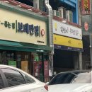 보배반점용인 이미지