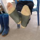 진군농장 이미지