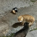 청진하다 펜션 이미지