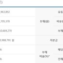 디딤돌의전
