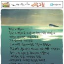 착한바보 이미지