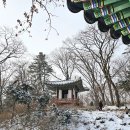 비원 이미지
