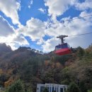 독도전망삭도시설(케이블카) 이미지