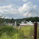 에버랜드 정문주차장 이미지