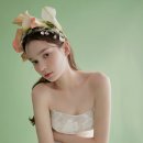 노바 벨리타 이미지
