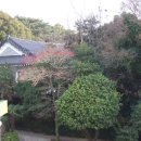 호텔하니크라운 이미지