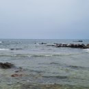 제전돌미역