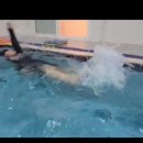 키즈웨일즈 이미지