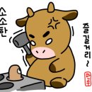 꽃보다 등심 이미지