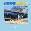 선달바우 이미지