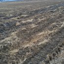 달천동사무소 이미지