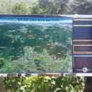 장흥관광지 이미지