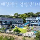 속초애견펜션양양빈티지하우스 이미지