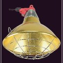 구구축산 이미지