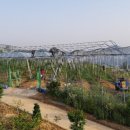 원경농장 이미지