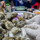 휴먼브릿지 | 진도, 해남으로 떠난 예향 미식로드