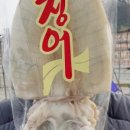 오징어의 하루 이미지