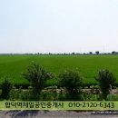 삼거리 인근 이미지