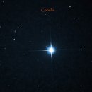 카펠라(CAPELLA)