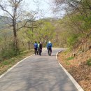 충주호체험 이미지