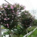 홍천로_4 이미지