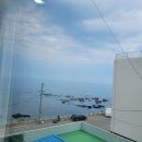 일출로405 | 국내 한 바퀴 여행 1일차, 묵호 성게는 참 맛있어