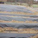 재상농장 이미지