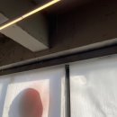 라쿤당구클럽 이미지