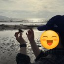 숲속노을로(2) | [충남 태안] 바다 바로 앞 오션뷰 캠핑장 ‘태안노을숲캠핑장’ 해루질도 하고 온 후기