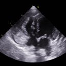 타임즈 동물의료센터 이미지