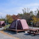 함평나비마을서울캠핑장 이미지