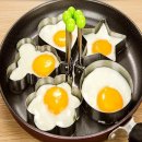 네모토스트 이미지